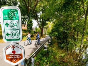 Attività di ciclismo presso il bed & breakfast o nelle vicinanze