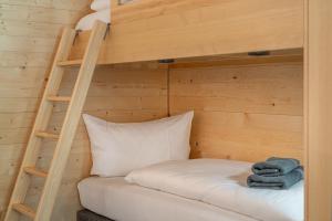 a bunk bed in a wooden room with a ladder at Apartment am Camping Dornbirn - 211 Hangspitze in Dornbirn +13 photos