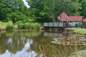 a pond with a house in the background with a building at Silver Birch Cabin, Bulbury Farm in Lytchett Matravers