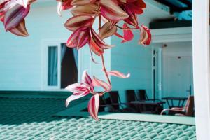 Photo de la galerie de l'établissement Cherry Luxury Hotel, à Đà Lạt