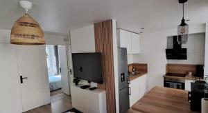 a kitchen with a refrigerator and a tv in it at La Terrasse, Hyper centre au calme avec stationnement in Cherbourg en Cotentin