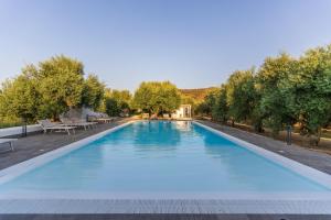 a large swimming pool with trees around it at Armandiola in Cardedu