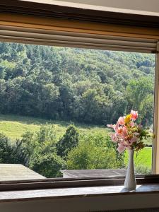 Phong cảnh thiên nhiên gần căn hộ