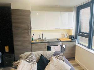 Kuchyň nebo kuchyňský kout v ubytování L1 Luxury Living