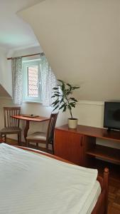 A television and/or entertainment centre at Guest House Pod Grebenom