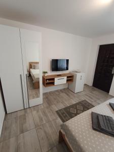 TV a/nebo společenská místnost v ubytování Rio rooms + 19 fotografií