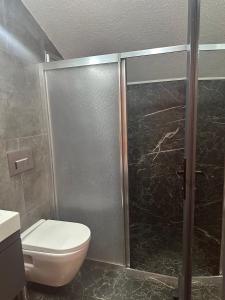 a bathroom with a toilet and a glass shower at AYDER PUGARİ OTEL & River Suite in Ardeşen