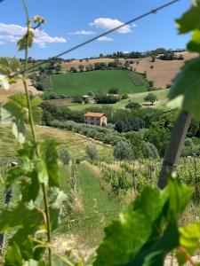 Fotografie z fotogalerie ubytování B&B Casa Contento v destinaci Arcevia