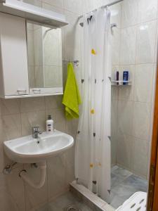 Koupelna v ubytování Apartmani Jelica FREE PARKING + 37 fotografií