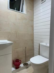 a bathroom with a toilet and a sink and a window at manorlet in London