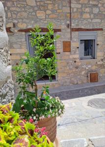 Κήπος έξω από το Prina Stone Retreat