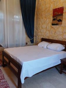 Φωτογραφία από το άλμπουμ του Lotus Flower Villa in Fayoum σε Tunis