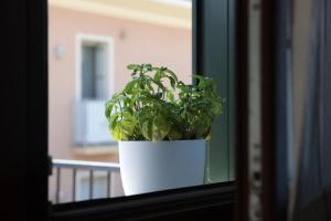 Fotografie z fotogalerie ubytování 15 min Padova Appartamento Moderno Travato v destinaci Legnaro