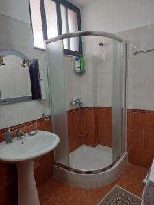 a bathroom with a shower and a sink at Elois Center Apartament in Tirana