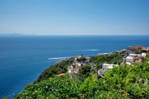 Příroda nedaleko prázdninového domu