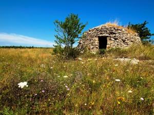Fotografia z galérie ubytovania Cefalicchio B&B v destinácii Canosa di Puglia