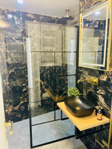 ブカレストにあるMetropole Apartments Central Cityのバスルーム(黒い洗面台、ガラス張りのシャワー付)
