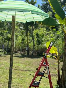 a tripod next to an umbrella and a ladder at Camping La Bucara in Cabeza de Vaca
