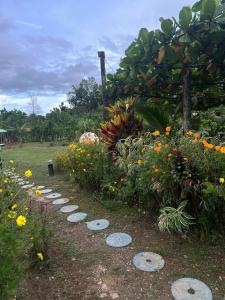 a garden with a bunch of flowers and stepping stones at Camping La Bucara in Cabeza de Vaca
