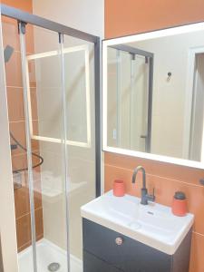 a bathroom with a sink and a shower at La Magnifique, Et Pop Et Chic ! in Poitiers