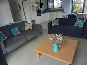 a living room with two couches and a coffee table at Villa Ginkgo et son SPA privatif in Albi