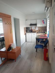 Kuchyň nebo kuchyňský kout v ubytování Apartman Hrkalovic