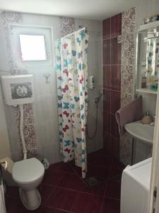 Koupelna v ubytování Apartman Hrkalovic
