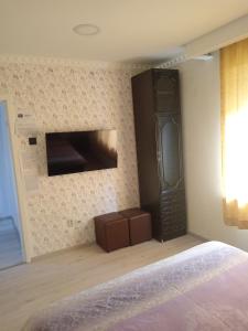 TV a/nebo společenská místnost v ubytování Apartman Hrkalovic