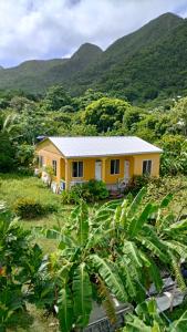 a yellow house with mountains in the background at Berton Place in Providencia