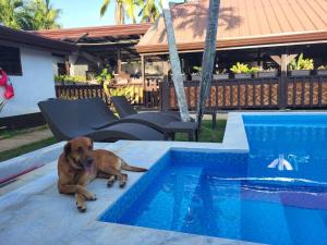 a brown dog laying next to a swimming pool at Jasmin Czechinn in Dauis