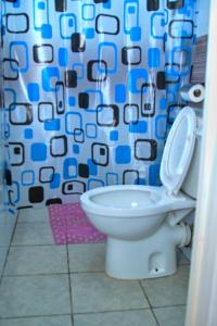 a bathroom with a toilet and a shower curtain at EDENVILLE HOMES-1 Bedroom Apartment Kiambu Road, Thindigua in Nairobi