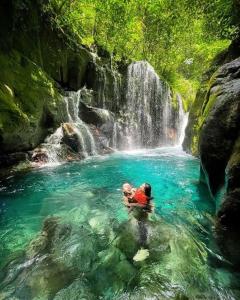 Φωτογραφία από το άλμπουμ του Bukit lawang free transpot free room σε Timbanglawang 1 +2 φωτογραφίες