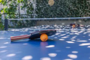 Tenis alebo squash v ubytovaní Villa Flora Vabriga alebo jeho okolí