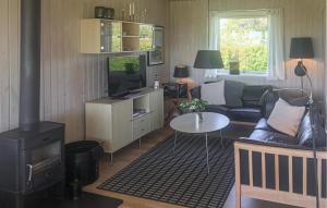a living room with a couch and a stove at Nice Home In Rudkøbing With Wifi in Spodsbjerg