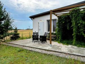 a house with a table and chairs in front of it at Hacienda Natura Agroturystyka in Warlubie