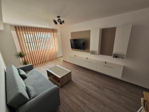 a living room with a couch and a flat screen tv at Cip Apartament Tazlaului in Bacău
