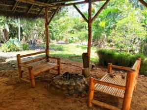 two wooden benches and a campfire under a hut at Cabañas Awana in Río Arajuno