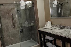 Koupelna v ubytování Radisson Hotel Edmonton Airport