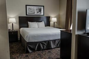 Postel nebo postele na pokoji v ubytování Radisson Hotel Edmonton Airport