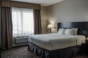 Postel nebo postele na pokoji v ubytování Radisson Hotel Edmonton Airport