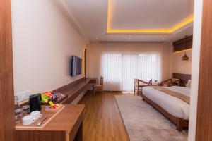 Μια τηλεόραση ή/και κέντρο ψυχαγωγίας στο Temple Himalaya Hotel & Spa