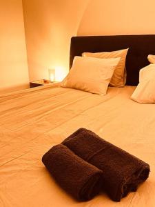 Postel nebo postele na pokoji v ubytování Gîte chez Naisse