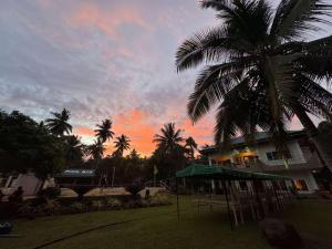 Κήπος έξω από το BregmanGuestHouse