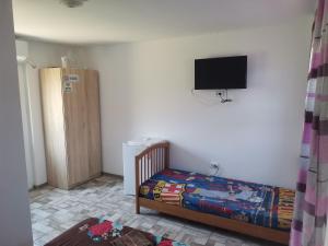 TV a/nebo společenská místnost v ubytování Casa Andrei A