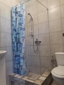 Koupelna v ubytování Casa Andrei A