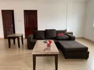 Gallery image of American Mall apartment, Osu in Accra +10 photos
