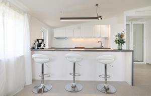 Η κουζίνα ή μικρή κουζίνα στο Pet Friendly Home In Bibinje With Sauna