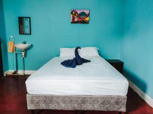 a blue bedroom with a bed with a blue wall at CocoHouse Leon in León +6 photos