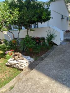 un jardín con un árbol y un edificio blanco en Milica Soba sa kupatilom 2, en Petrovac na Moru