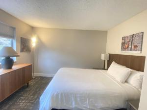 Quathiaski CoveHigh Pont Resort的一间带床和窗户的酒店房间